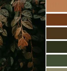 the color palette is brown, green, and beige with leaves on it in shades of browns