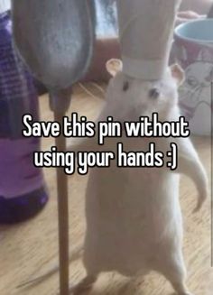 a rat with a hat on its head standing in front of a mirror and the caption says save this pin without using your hands