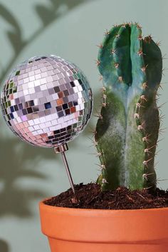 a potted cactus with a disco ball in it