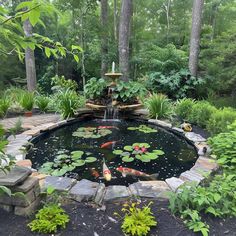 an outdoor pond surrounded by plants and rocks