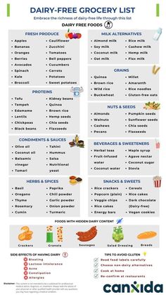 Embrace the richness of dairy-free life through this listDownload your pdf print heres://candida.yeastinfection.org/wp-content/uploads/2023/07/Dairy_Free_Grocery_List.pdf Dairy Free Food List, No Dairy Diet, Buckwheat Gluten Free, Flax Milk, Paleo Diet Food List, Free Grocery List, Dairy Free Cooking, Dairy Free Breastfeeding, Hemp Milk