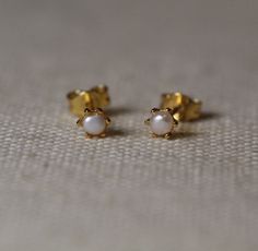 Excited to share the latest addition to my #etsy shop: 14k Pearl Earrings / Tiny Pearl Earrings / Layered Earrings / Birthday Gifts / Christmas Gifts https://etsy.me/3Namz1I #unisexadults #gold #minimalist #tragus #minimalearrings #daintystuds #delicateearrings #births Studs Earrings Gold India, Stud Pearl Earrings, Lehenga Red, Gold Heart Earring, One Earring, Devi Durga, Minimal Earrings, Snake Jewelry, Dainty Studs