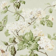 a wallpaper with white flowers and green leaves