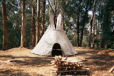 a teepee sitting in the middle of a forest