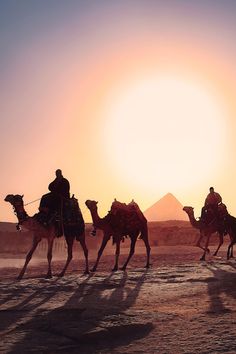 three people are riding camels in the desert at sunset with pyramids in the background