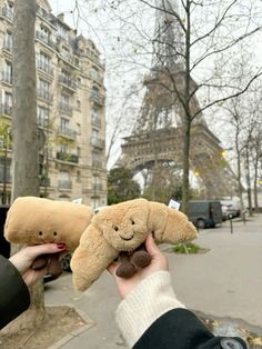 someone is holding a teddy bear in front of the eiffel tower, paris