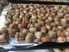 some nuts are sitting on a sheet of tin foil and ready to be cooked in the oven