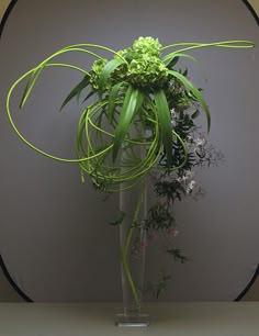 a vase filled with green plants on top of a table