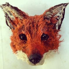 a close up of a fake fox head on a white wall with water droplets all over it