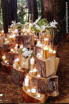 many candles are placed in glass vases on logs