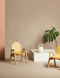 two chairs and a table with a potted plant on it in front of a beige wall