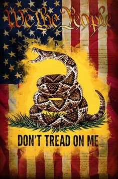 an american flag with a don't tread on me sign in the center and a snake