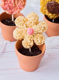 three potted plants with marshmallows and flowers in them on a white table