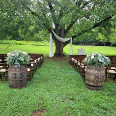 an outdoor ceremony setup with wooden barrels and greenery on the grass under a large tree