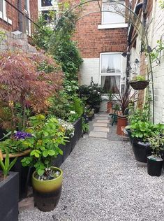 an alley way with lots of potted plants