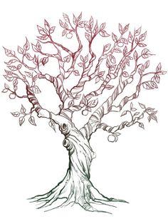 a drawing of a tree with lots of leaves on it's trunk and branches