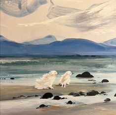 two white dogs running on the beach with mountains in the backgroung and blue sky