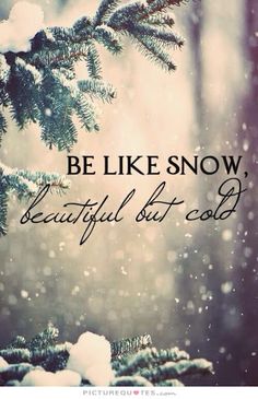 a pine tree with snow on it and the words make it a december to remember