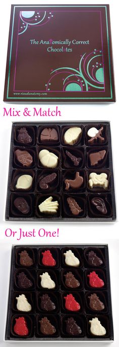 two boxes of assorted chocolates with different flavors