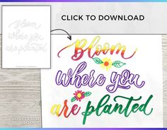 an image of a sign with the words bloom where you are planted in different colors