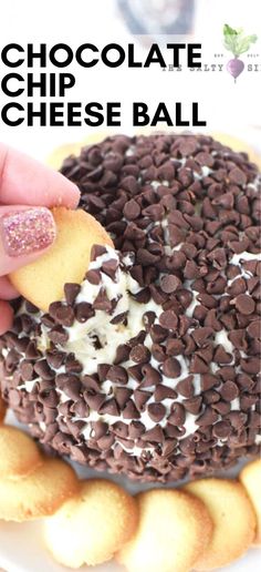 a chocolate cheese ball on a plate with white frosting and sprinkles