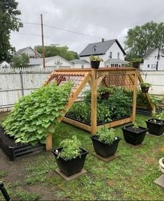 an outdoor garden with lots of plants growing in the ground and on top of it