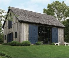 two dogs standing in front of a barn with blue doors and shutters on the windows