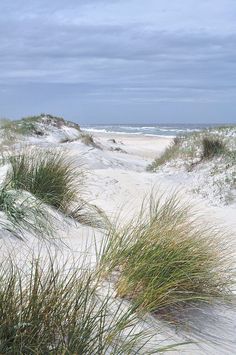 the beach is covered in sand and grass