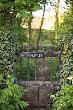 an iron gate with the word private written on it surrounded by greenery and trees