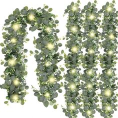 two rows of green plants with white lights in the shape of letters o and o