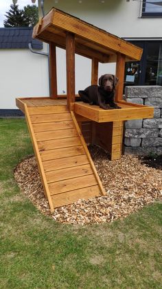 a dog sitting on top of a wooden slide in the grass next to a building