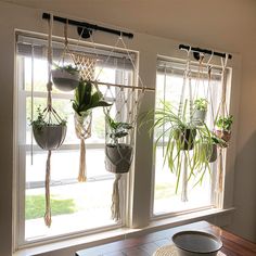 some plants are hanging on the windowsill