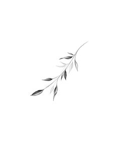 a black and white drawing of a branch with leaves on it's end, against a white background