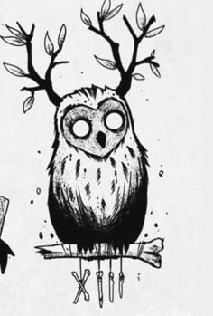 an owl sitting on top of a tree branch next to a bird with antlers