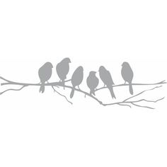 three birds sitting on a branch with no leaves in the winter, silhouetted against a white background