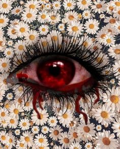 an eye with blood dripping out of it's center surrounded by daisies