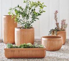 three planters with plants in them sitting on the ground next to eachother