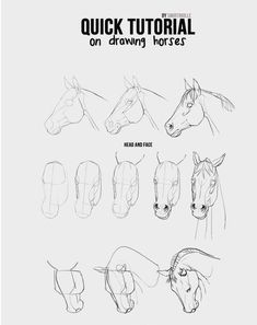 the horse's head is drawn in different ways