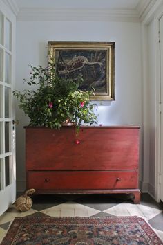 a plant is sitting on top of a dresser in a room with an ornate rug