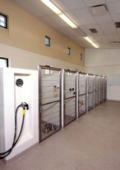 a row of stalls in a building with doors open and water hoses attached to them