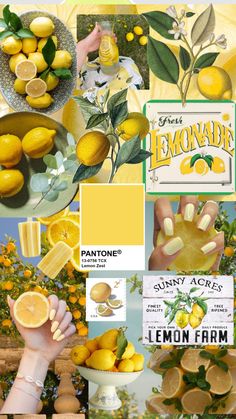 a collage of lemons and handmade soaps