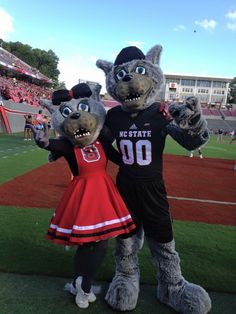 two people in mascot costumes standing on a field