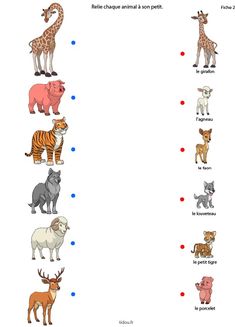 an animal chart with different types of animals and their names in english, french or spanish