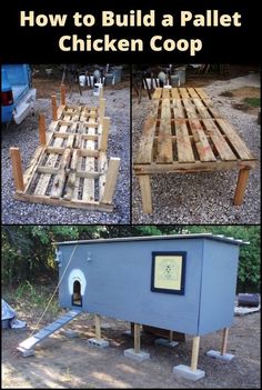 how to build a pallet chicken coop