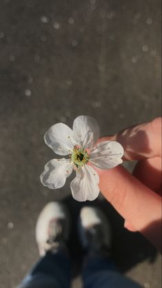 a person holding a white flower in their left hand with the other foot on the ground