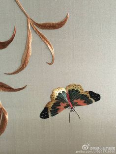 an image of a butterfly flying in the air with long hair on it's back