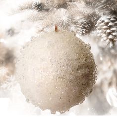 a white ornament hanging from a christmas tree with pine cones and snow flakes