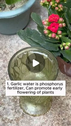 a glass vase filled with water next to some potted plants on top of a table