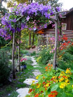 a garden with lots of flowers and trees