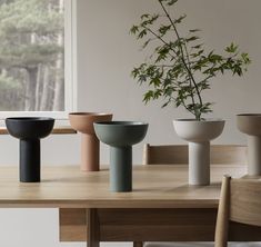 four different colored vases sitting on top of a wooden table next to a potted plant